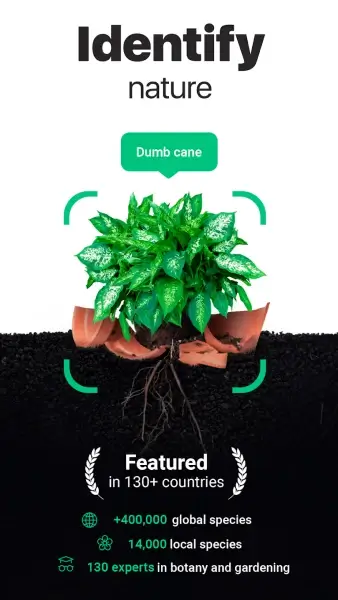 NatureID:reconnaissance plante MOD